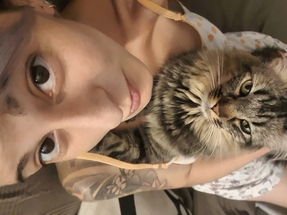 HarLe_o3o's tweet photo. Pueees... aquí ando con el gato mapache a cuestas, es sentarme en el sofá y... chás x_D
•
•
#me #hi #Maui #lovely #calico #gatomapache #mamitis #tabby #atigrado #gato #neko #gatti #chat #kitty #pet #cute #lovemycat #lovemypet #petlover #catlover #catoftheday #goodnight https://t.co/I5KzTAUKo7