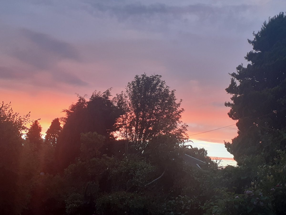 _TaraHeath's tweet photo. Perfection... https://t.co/wgefS45Eur