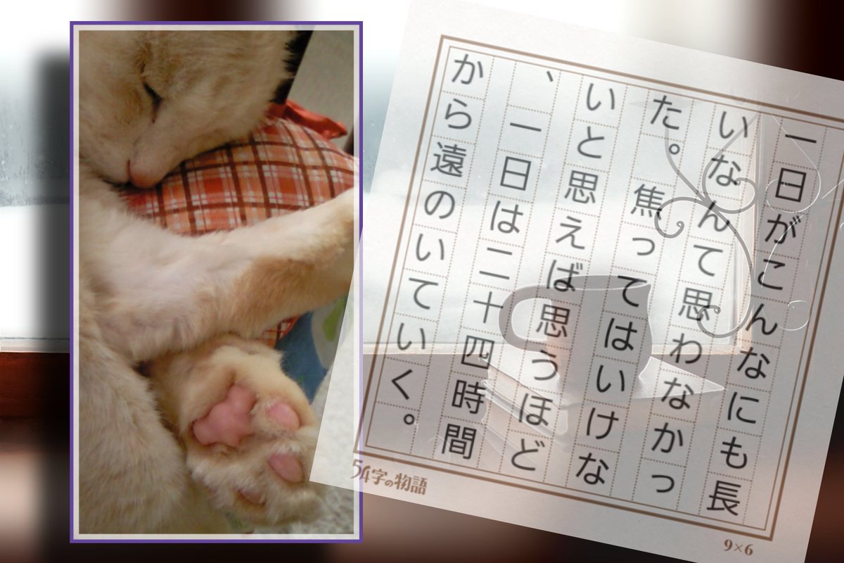 ペット 感想/考察 最新情報まとめ｜みんなの評価・レビューが見れる 