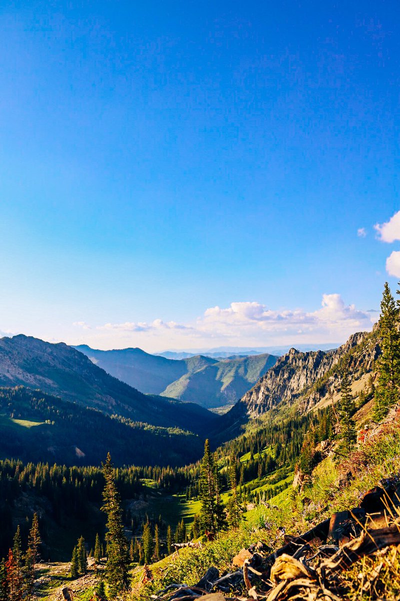 jrobphotos_'s tweet photo. S/o to my job for allowing me to experience new things than I’m used to! Got to climb a mountain right outside of SLC, Utah, and here’s some shots I got along the way. From 7500 altitude to over 12K wasn’t easy but definitely worth it. https://t.co/7lgO4Oa5Gm
