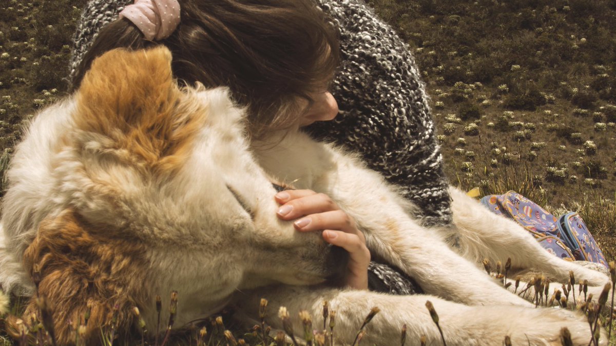 anitosangrante's tweet image. en Valle Muerto con el papito @unrincones 🍃 y este perrito precioso 💕