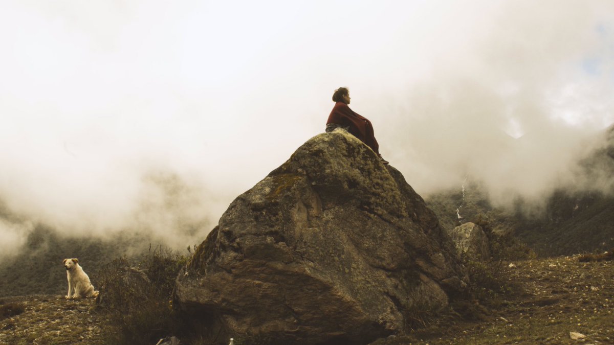 anitosangrante's tweet image. en Valle Muerto con el papito @unrincones 🍃 y este perrito precioso 💕