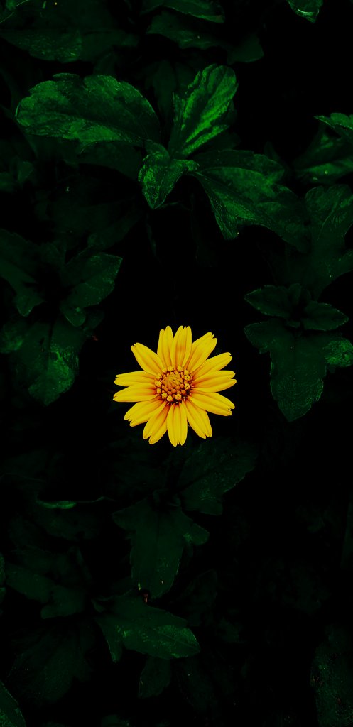 Miss_extiinct's tweet photo. Do the earth a favor
Don't hide your magic...!
@SamsungIndia #Samsung #samsungnote9 https://t.co/owdbHpBdG8