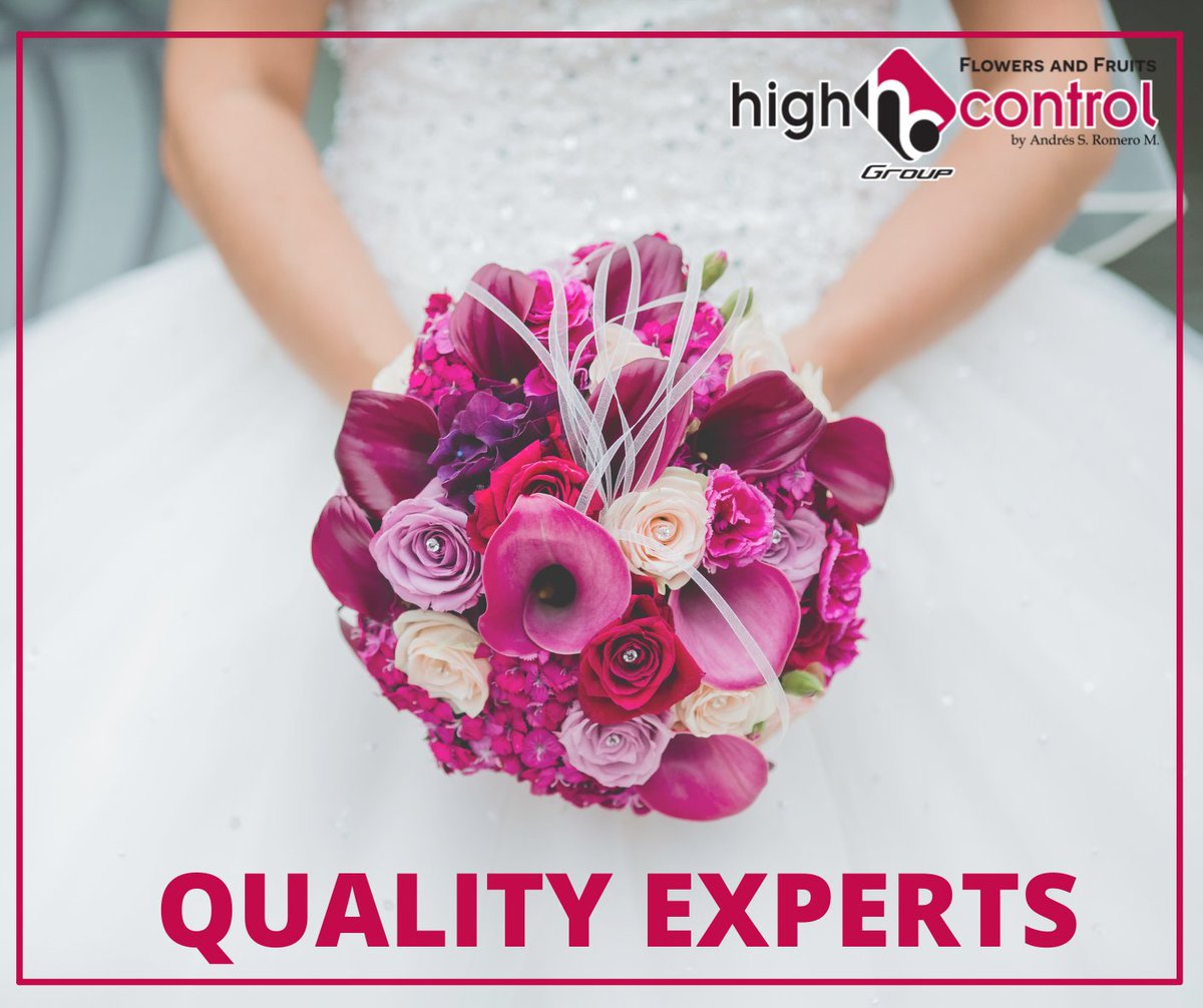 highcontrol's tweet image. Wedding season... don't risk your best moments, think about Quality, think about High Control Group.

#highcontrol #qualitycontrol #flowersquality #bestquality  #ecuador #colombia #usa #flowers #flowerslovers #flowersofinstagram #flowerstagram #florist #roses #basc