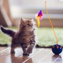 CydianGroup's tweet image. Yes, I was here playing with my favorite toy, enjoy sunlight windows and the quiet.

#ek3tech #computerexperts #catsrule zpr.io/RJj7R