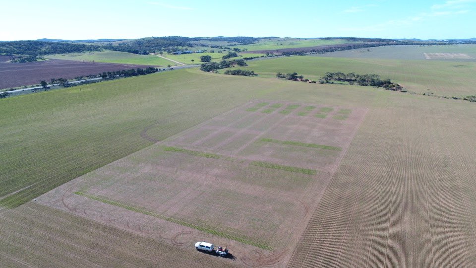 Plenty happening at Nutrien Cleve Research &amp; Development site 🌱  <a href="/KearsleyGiles/">Giles Kearsley</a> <a href="/RyanSiebert18/">Ryan Siebert</a>