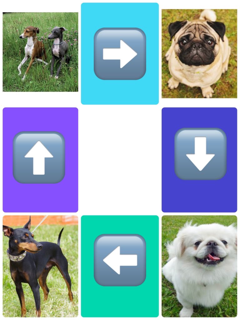 オレンジから次のステージへ 田中ひ 一周まわって元の イタグレと一緒にドッグランに行きたい 運動嫌いのブサカワ犬パグがいい 人に媚びない猫みたいなペキニーズが魅力 精悍な外見なのに大人しいトイマンが最高 どうせなら一番静かな
