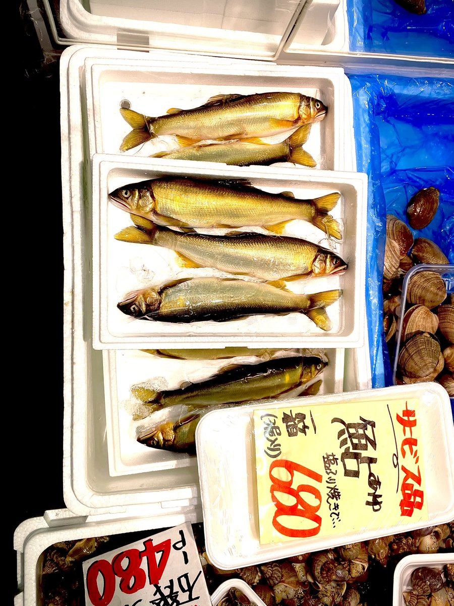 夏の風物詩、和歌山県産鮎が入荷しました😀季節を感じますね〜😉
塩焼き、甘露煮など美味しいですよ👍
＃共栄市場 #ことに ＃鮎 ＃和歌山県
