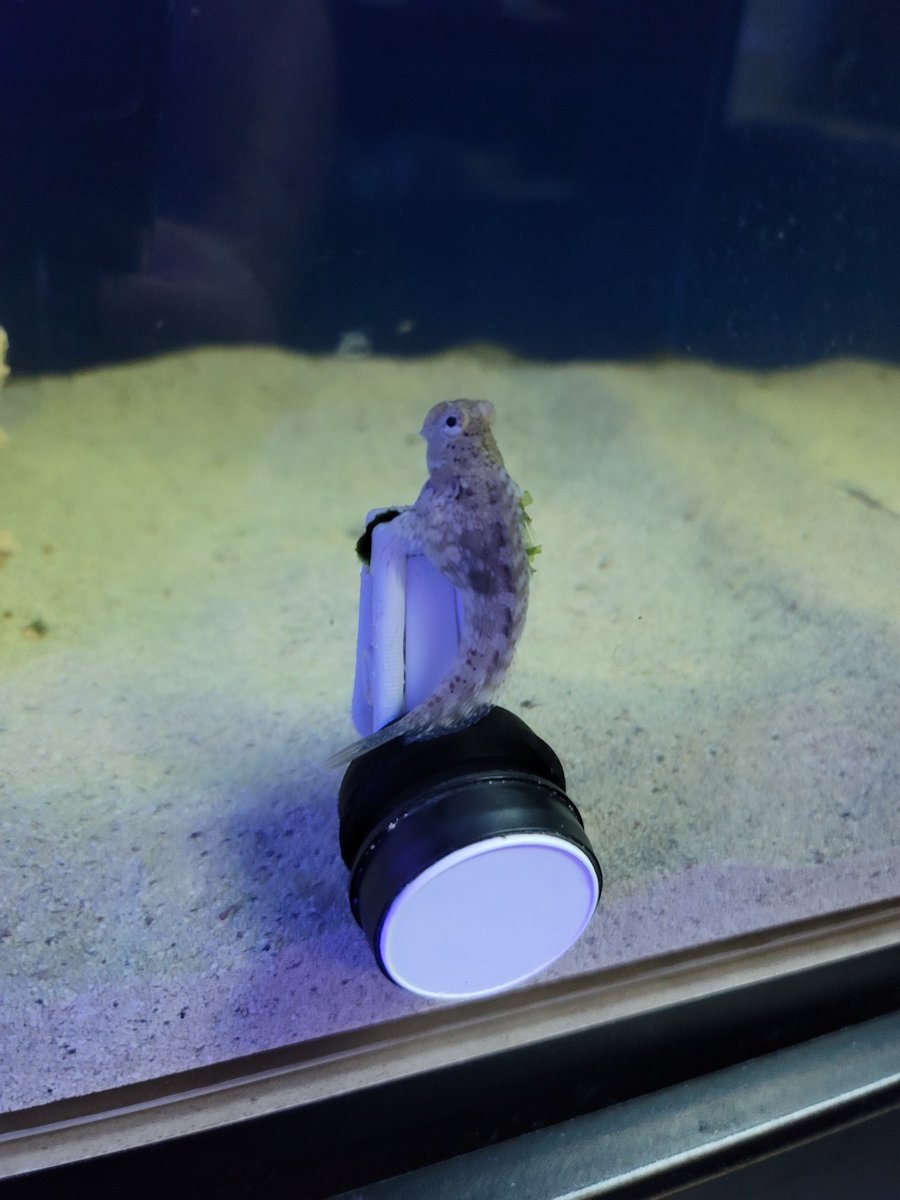 ReefLlc's tweet image. 