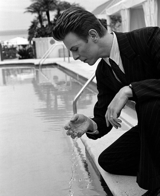 DAVlDBOWIEREAL's tweet photo. Always #Test the Swimming Pool before you dive In!! ๐๐
#DilfDaily https://t.co/IyBIvyv0E4