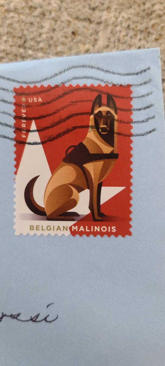 Hey @USPS and @NMalinois @UsedDogsK9 @K9Sid this is the smartest thing (stamp for you humans) you've ever done.
@pistolpezz even let me open his father's day card