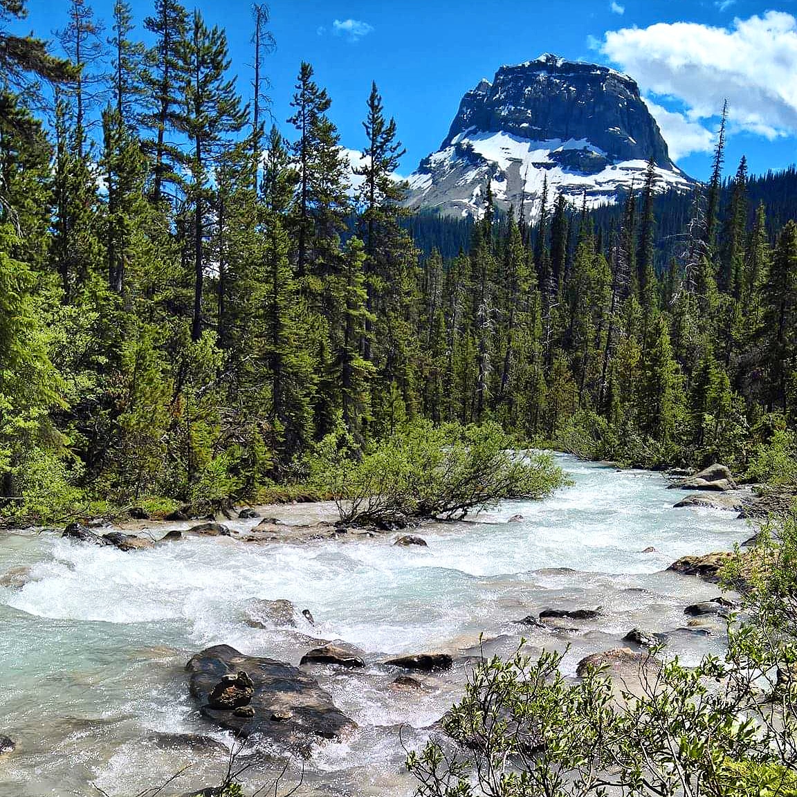 MaryLeeCinema's tweet photo. #Canada #DiscoverCanada #Banff #NationalPark #River #Mountain #NoFilter #VisitCanada #BC #BritishColumbia #VisitBanff #Yoho #YohoNationalPark #Paradise #Explore #Hike #Discover #RoadTrip #Summer #Travel #Woods #Holiday #Holidays #Photography #VisitYoho #TakakkawFalls #Falls https://t.co/EYpzDxY1Qg