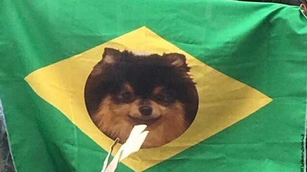 btspathbr's tweet photo. essa sequência do jungkook msotrando a bandeira do brasil com o yeotan pro taehyung é preciosa demais🥺 https://t.co/gZRIMcsqMH