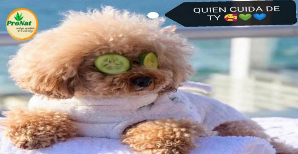 pronat15's tweet photo. Obvio que #pronat 💙💚 amate #cuidate #quierete con #pronat https://t.co/cEqOh1b1Uj