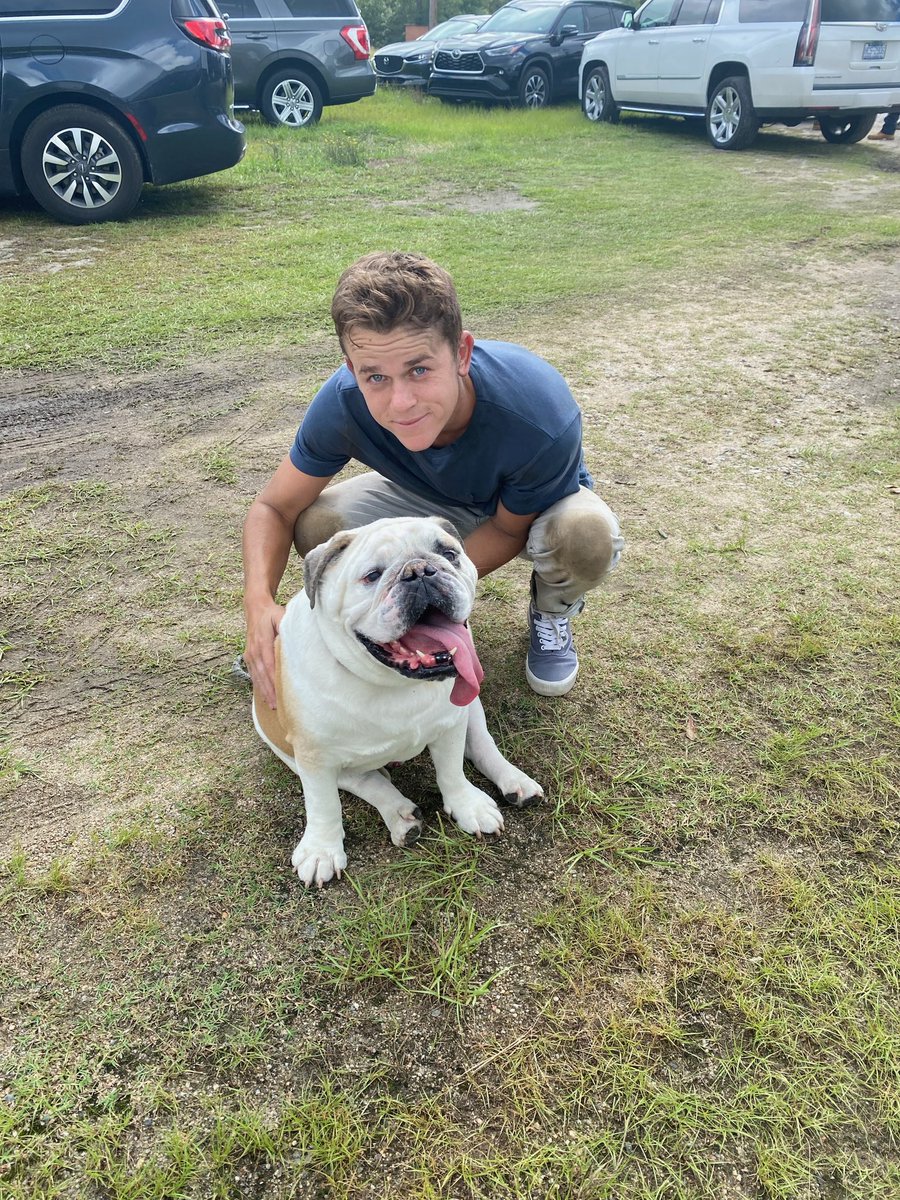 Dozer_The_Dog tweet media