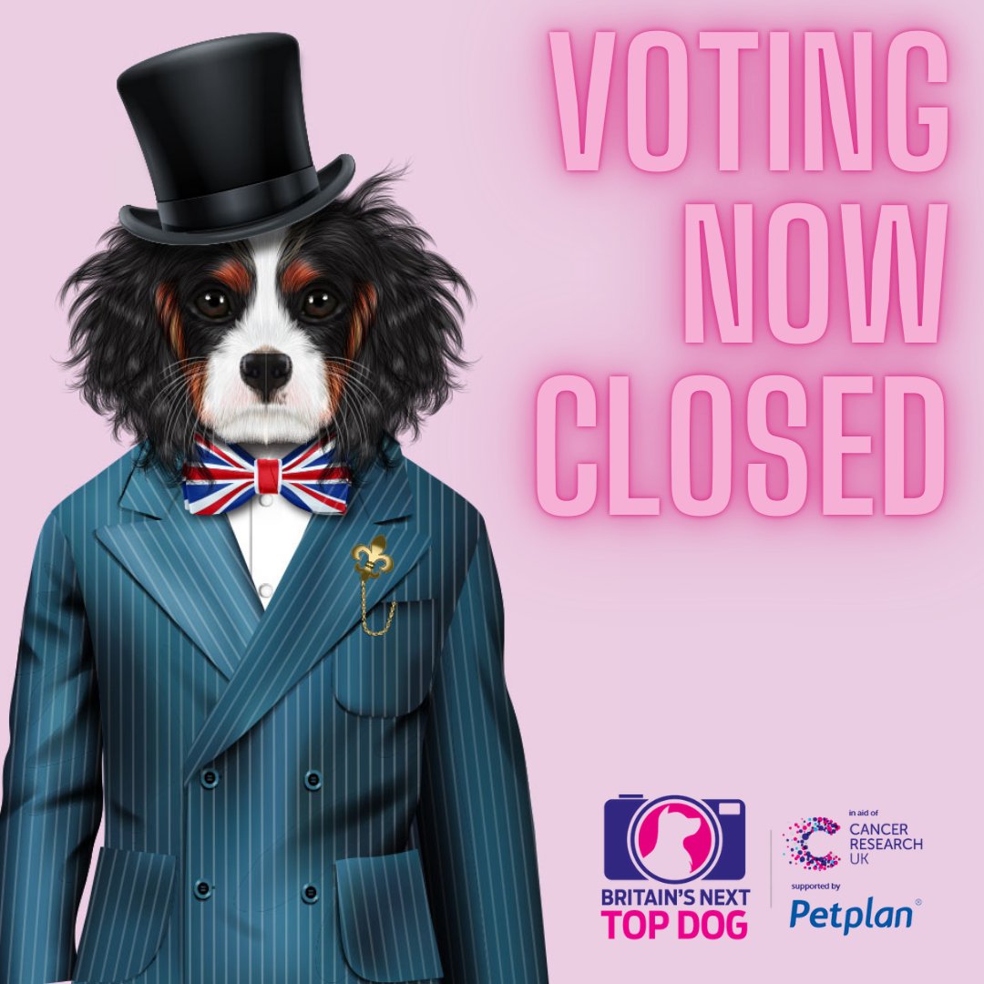 VOTES NOW BEING COUNTED!!

Thank you all for voting and we can't wait to announce the winner on Wednesday. May the best dog win!!

If you would like to make a donation please visit britainsnexttopdog.com