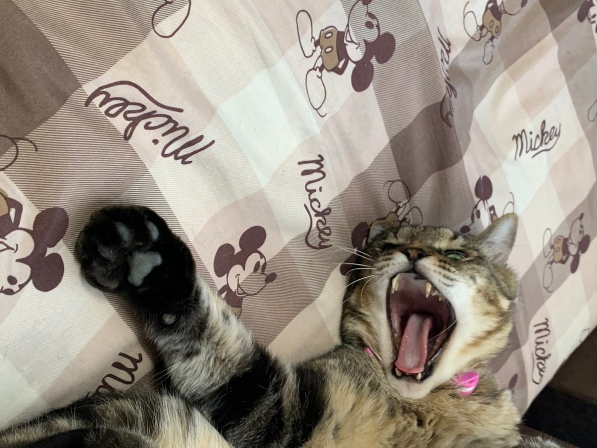 山梨簿記学院の人 Yamanashiboki Twitter