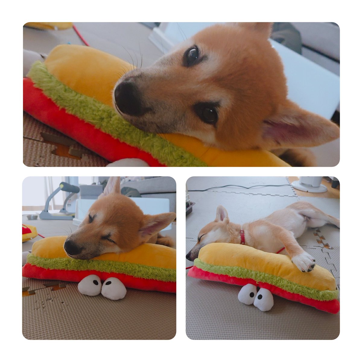 犬のおもちゃ 犬のおもちゃ