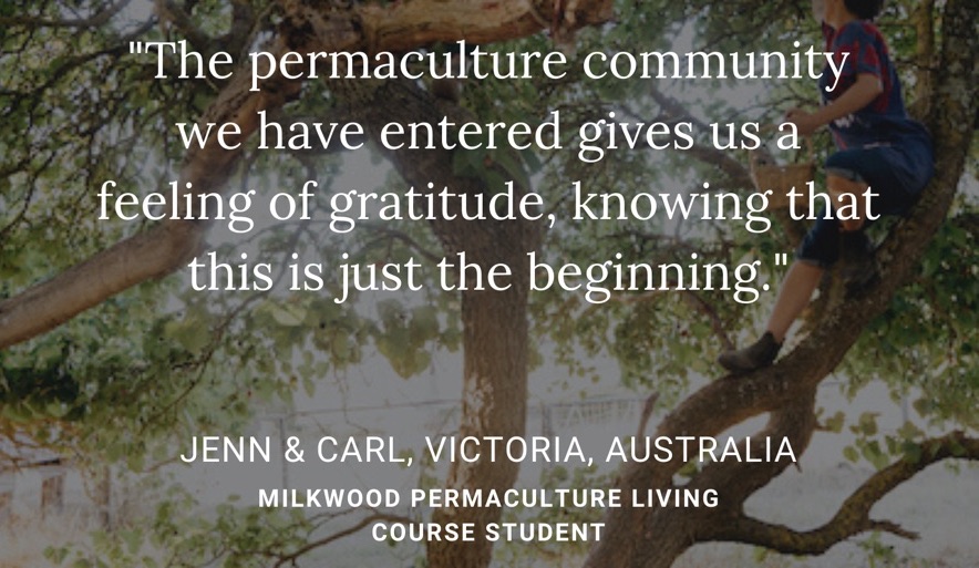 Adventures in pressure canning - Milkwood: permaculture courses