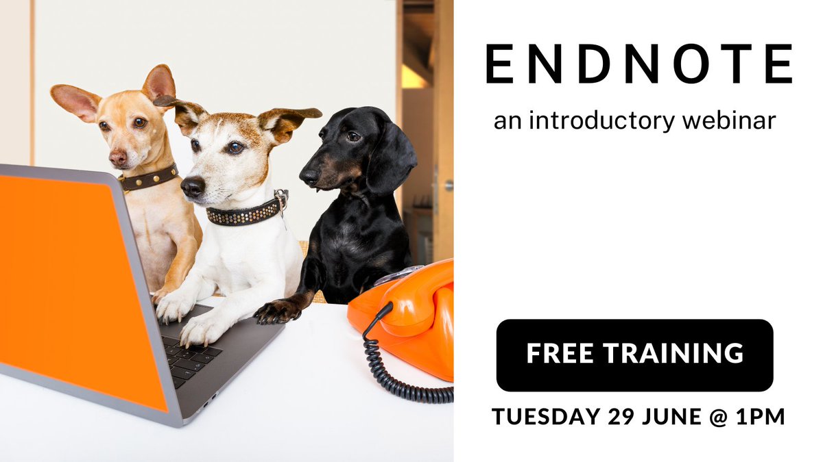 ANULibrary's tweet photo. We still have places available for our FREE #EndNote webinar tomorrow!
Join us for a one-hour introduction to #EndNote20. This webinar is perfect for new users and will get you started with the basics
Tuesday 29 June @ 1pm
https://t.co/R7Sq1XwxQ0 https://t.co/H5Pf5XR0eX