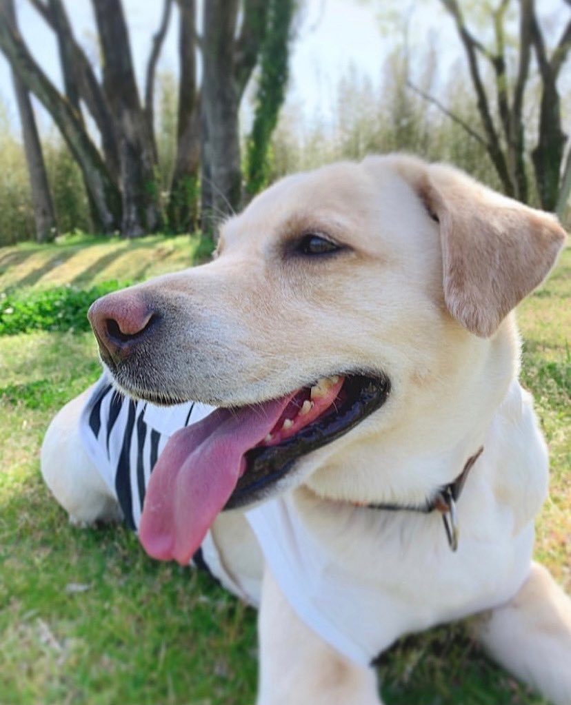 E6 A8 E9 A1 94 E7 Be 8e E7 8a Ac Twitter Search