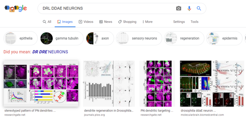 If only google.....