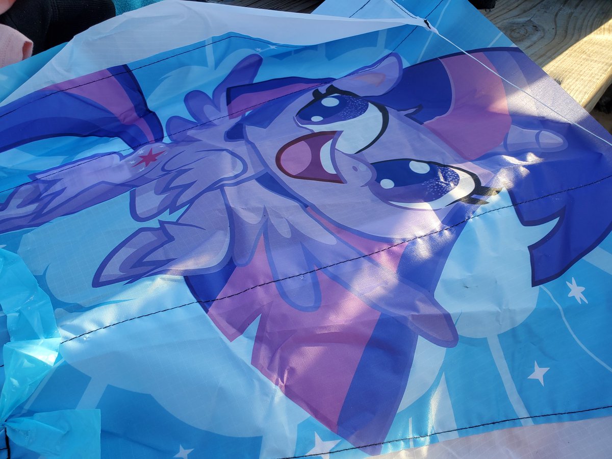 Bitgamer1's tweet photo. Twilight sent flying high into the sky spreading friendship all around! #Bronies #xkites https://t.co/St8ZD3bhCY