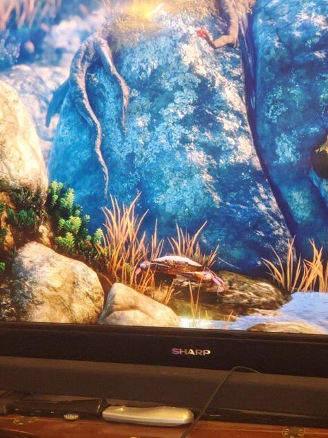 RT @isthereacrab: There is a crab in Unravel (2016, PC, PlayStation 4, Xbox One) https://t.co/ctKF16gm0r