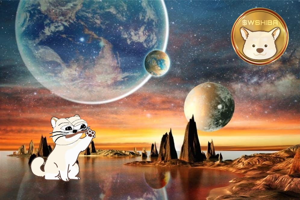 WHITE SHIBA tweet media