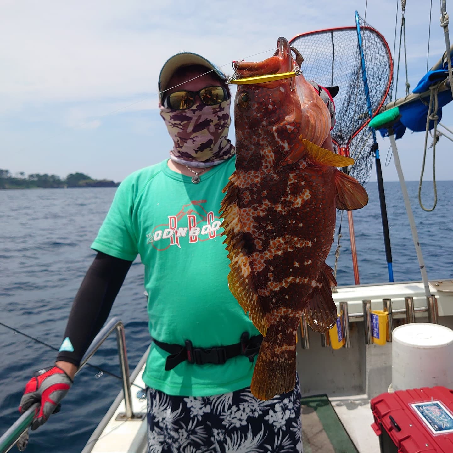 ブルーズ丸せんちょ ブリード オッターテイル50グラム 緑金でビッグなキジハタget でかいアジも釣れてます 21年6月28日 ブルーズ丸 ブルーズ 日本海 福井県 三国 ジギング Slj オフショアジギング ジグ スーパーライトジギング