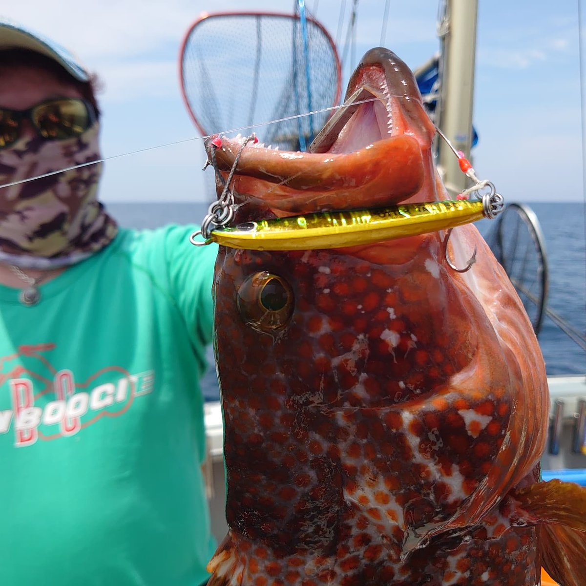 ブルーズ丸せんちょ ブリード オッターテイル50グラム 緑金でビッグなキジハタget でかいアジも釣れてます 21年6月28日 ブルーズ丸 ブルーズ 日本海 福井県 三国 ジギング Slj オフショアジギング ジグ スーパーライトジギング ジギング