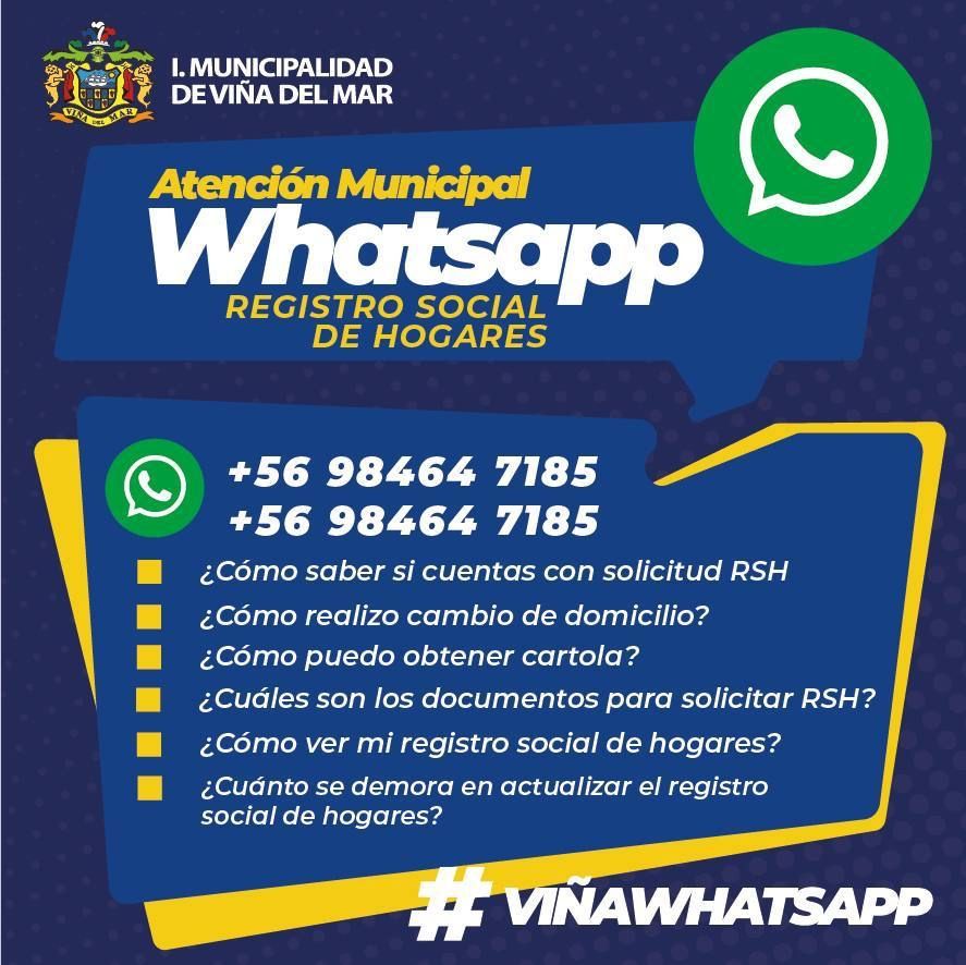 Virginia Reginato tweet media