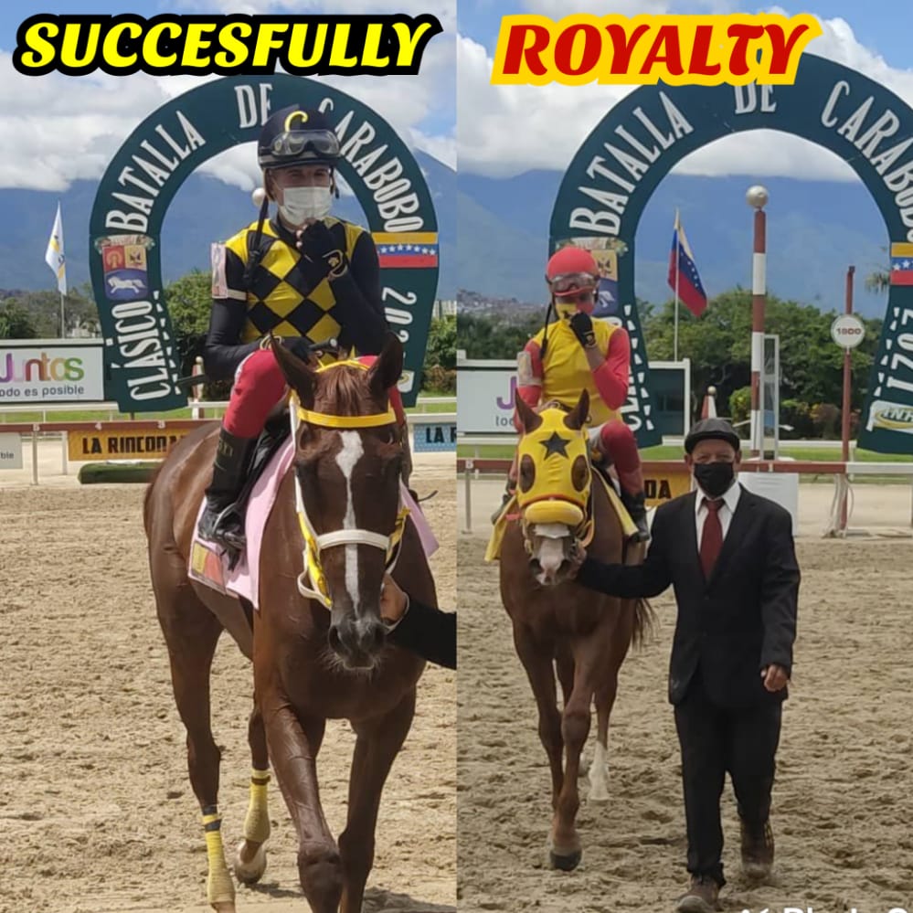 CiprianoGil2's tweet photo. Ante todo agradezco a DIOS , a los
Propietarios, entrenadores , personal de caballeriza y mi equipo de trabajo por 2 victorias mas en mi carrera ๐
@hjgcdj ,#Rsantamaria , #studMM , #studlosaudaces ๐๐ป๐ช๐๐ป๐ช๐๐ป๐ช https://t.co/UuQUcs7fqd