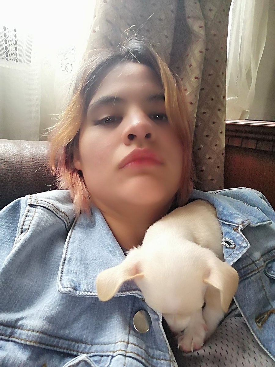 AndyOficial14's tweet photo. Puppys🐕🐶🐾 https://t.co/eWcPEPiQ7D