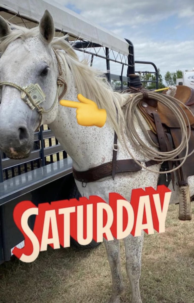 PepperStewart's tweet photo. Dollar Dollar Bills Y’all!  
Picked up some cash in the Ranch Roping event this weekend 💴 #pepperstewart #wrc #cactusropes #totalfeed #masterhattersoftexas #Wrangler #cactussaddlery #stallhigh https://t.co/5eKR59ado9