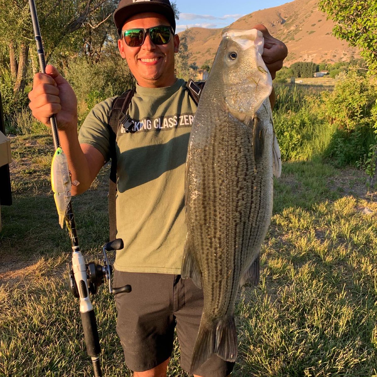fear_nobass's tweet photo. Last night fished with my nephew @joshua_haack and FNB a member. He mentioned he had never before caught a wiper. Problem solved. He caught a Spring Lake GIANT!!!
So glad I was there to witness and take pics for him. 

#wiper
#fnb #fearnobass https://t.co/C7sWxZZxpl