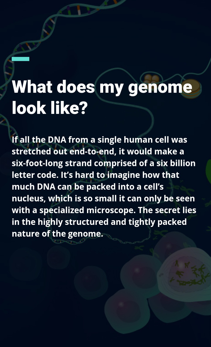 🚨 🤯 Pacbio Hifi long reads are not getting any longer!!!  🥀⚰
$BNGO is the 🧬🤴 King of large SVs!!
AND 👇
$PACB better make that sucker go faster 🐢💨 .... and even if they do, still gonna need Bionano for the large SVs, which are the clinically relevant ones!  👨‍🔬🧬✔