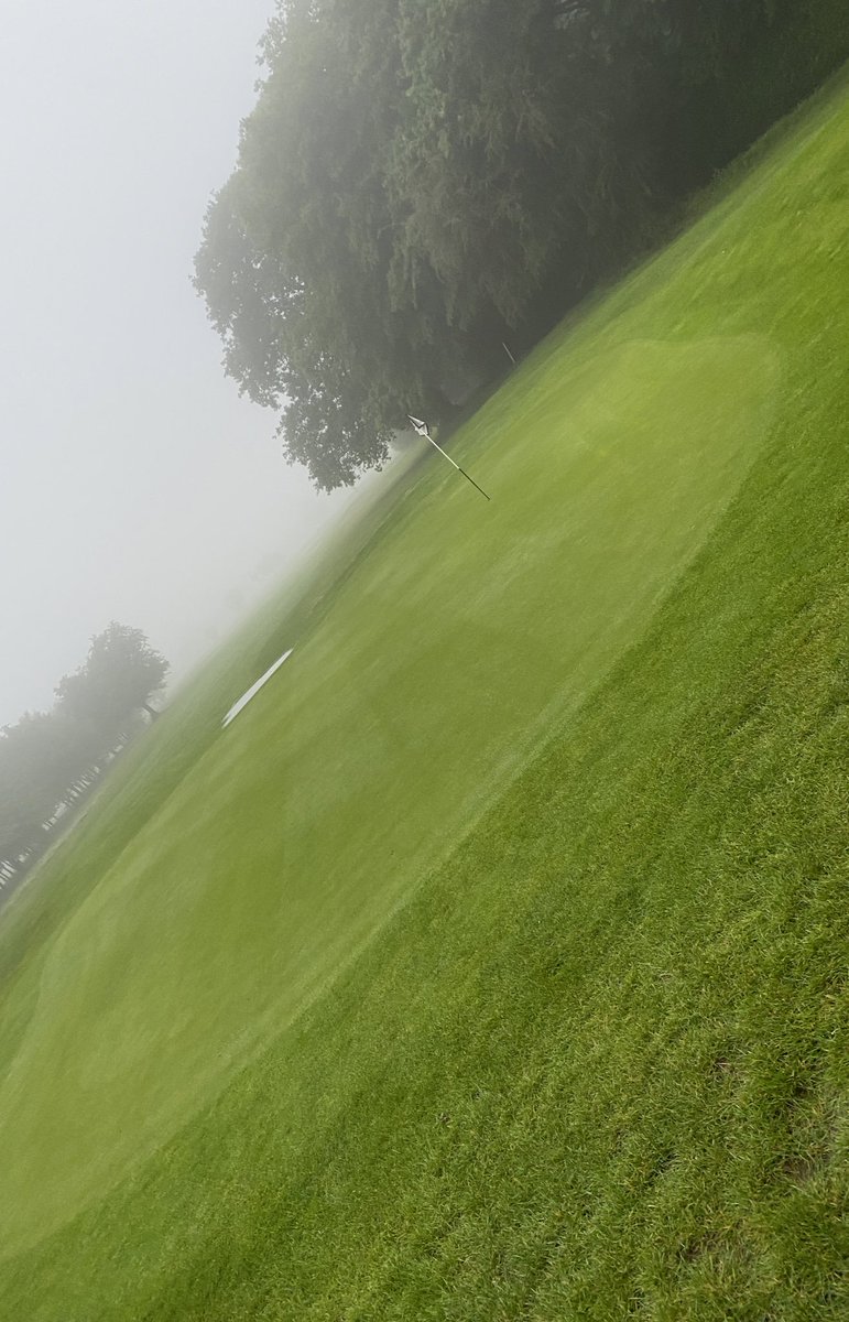 Redlibbets Greenstaff tweet media