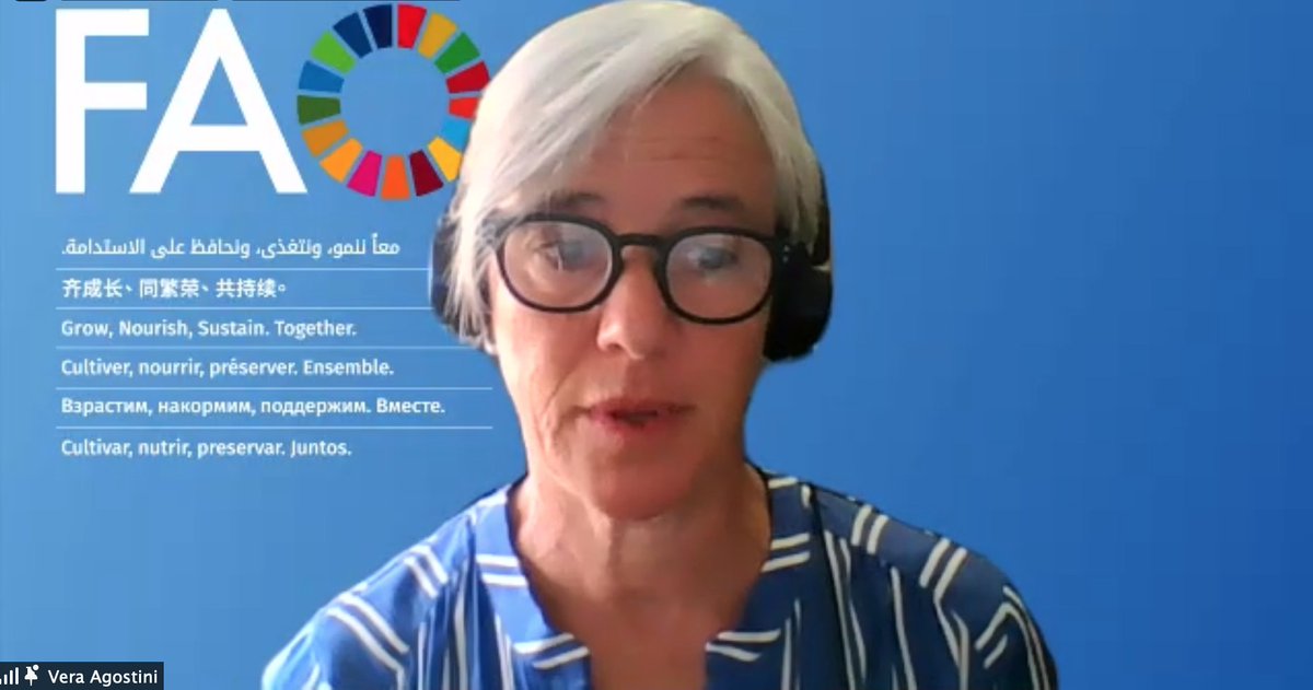 Deputy Director of <a href="/FAOfish/">Fisheries & Aquaculture</a> Vera Agostini opens the
#ArtificialInteligence for a Digital Blue Planet forum
#AI4DBP
Emphasising how we can collaborate to catalyse fish data collection to all work together for well-managed #fisheries
Join us now live; fao.org/fishery/nems/4…
#SDGs