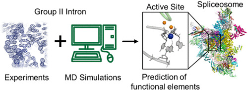 JCIM & JCTC Journals (@jcim_jctc) on Twitter photo Finding the Ion in the #RNA-Stack: Can Computational Models Accurately Predict Key Functional Elements in Large #Macromolecular Complexes?
pubs.acs.org/doi/10.1021/ac…
<a href="/Marcia_lincRlab/">Marco Marcia</a> <a href="/JacopoManig/">Jacopo Manigrasso</a> <a href="/devivo_marco/">Marco De Vivo</a>
#current_issue #Viewpoints Finding the Ion in the #RNA-Stack: Can Computational Models Accurately Predict Key Functional Elements in Large #Macromolecular Complexes?
pubs.acs.org/doi/10.1021/ac…
<a href="/Marcia_lincRlab/">Marco Marcia</a> <a href="/JacopoManig/">Jacopo Manigrasso</a> <a href="/devivo_marco/">Marco De Vivo</a>
#current_issue #Viewpoints