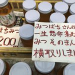 合ってはいるけど書かなくていい？高知県で売られていたハチミツ!