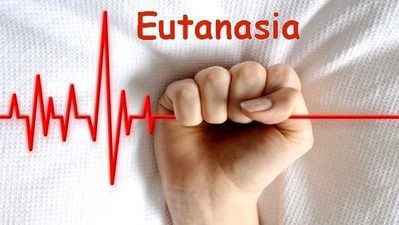 acebioetics's tweet photo. El pacient amb malaltia greu, crònica i incurable necessita l'alleujament del sofriment per part del seu equip sanitari. L'eutanàsia és totalment contrària a l'essència de les professions sanitàries i trenca la relació metge-pacient. #stopeutanasia https://t.co/z2cCZ7jcht