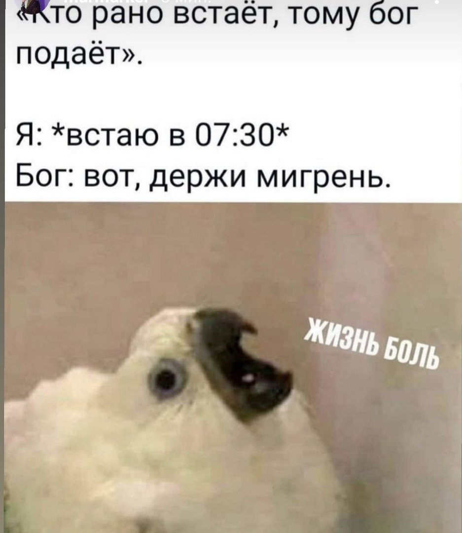 Кто рано встает тому бог подает картинки с добрым утром