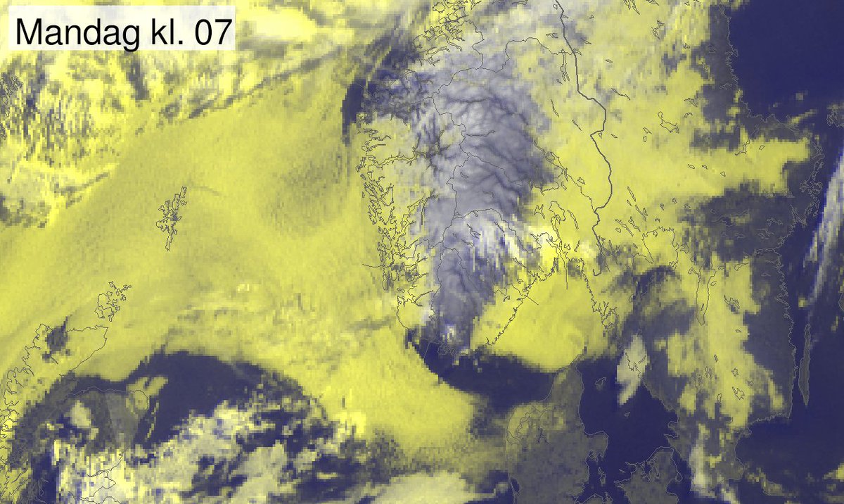 Meteorologene tweet media