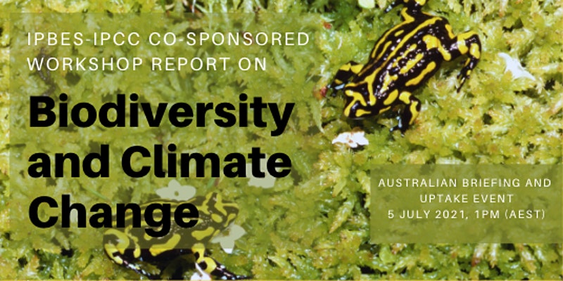 UWA Research tweet media