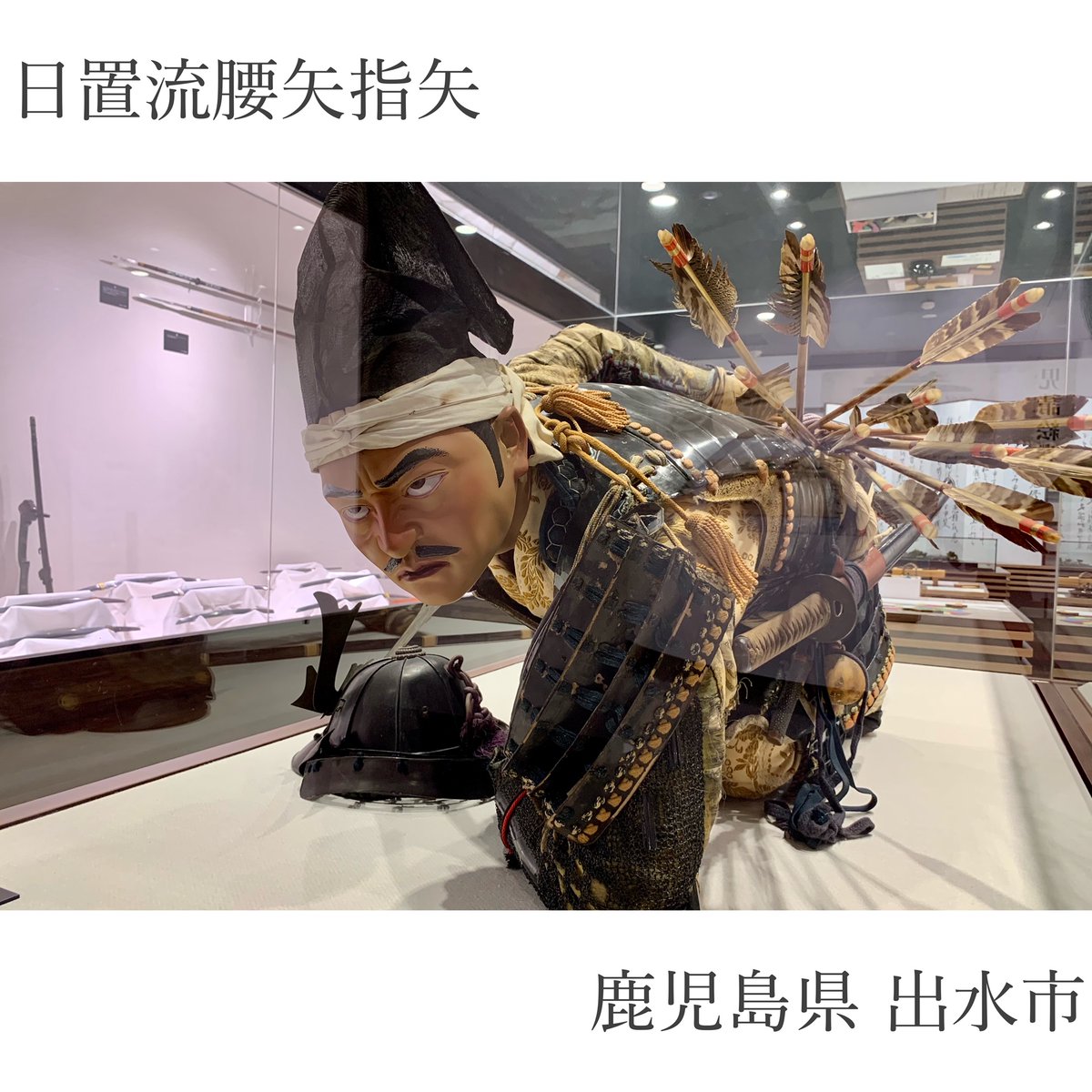 出水市観光情報 出水ナビ【公式】 على X: 出水市観光情報 出水ナビ【公式】 على X: