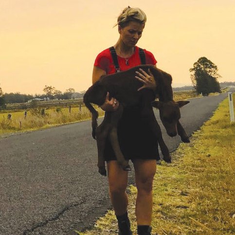 ttcchaustralia's tweet photo. It’s a lonely road ahead when the label on your head says “waste”. Every year, thousands of baby boy calves are killed. They are a waste product of the dairy industry. No one hears their cries, no one sees them die. We are their only hope. #AnimalWelfare #animalrescue #notwaste https://t.co/cWfvI144YV