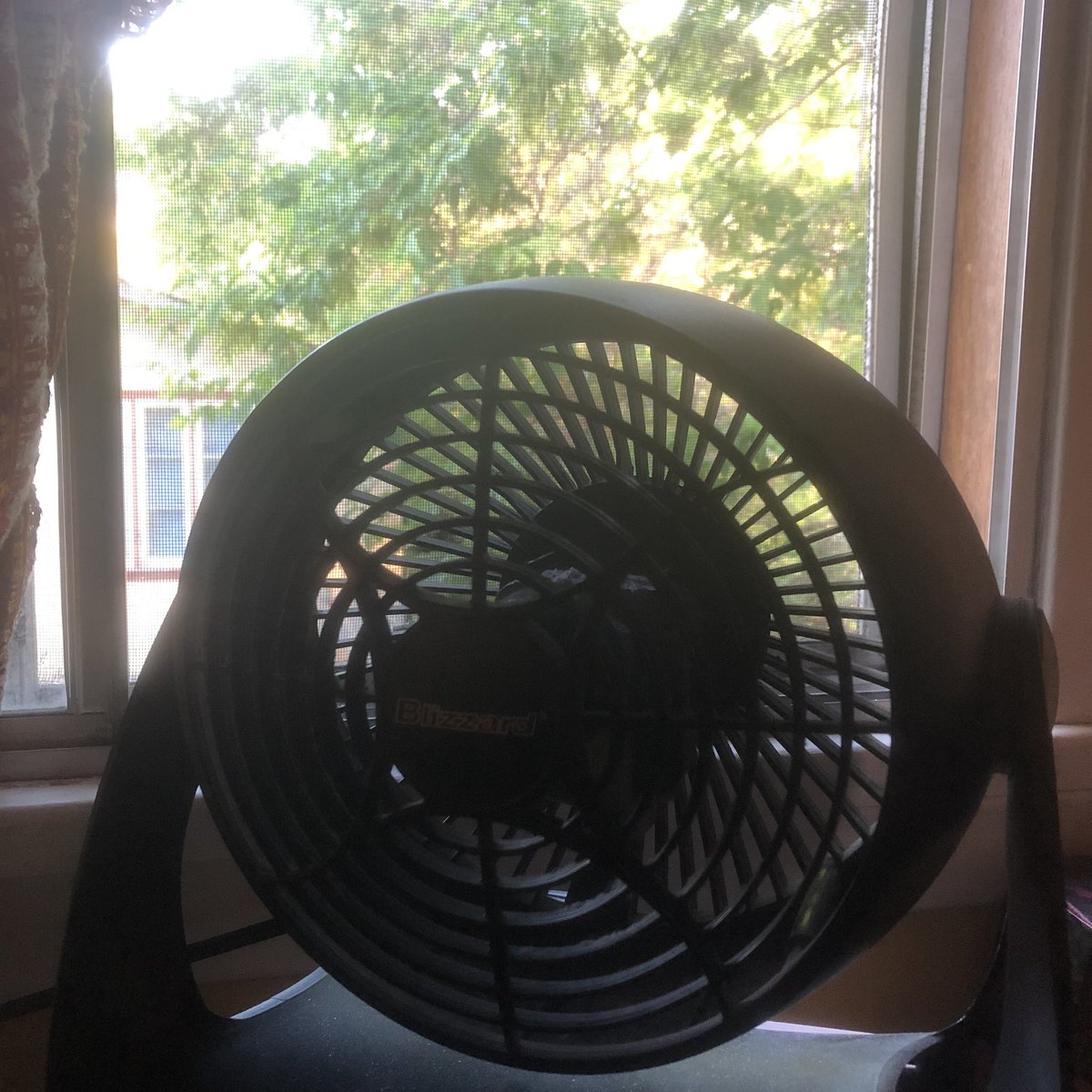 StaceyKondla's tweet photo. Well, now that is 28 degrees outside as well as 28 degrees inside, we have opened all the windows, strategically placed the fans, and hope to cool off a bit overnight before we are back into the raging inferno tomorrow. #albertaheatwave #scorchinghotday #isthishell https://t.co/ml7Khs7GKn