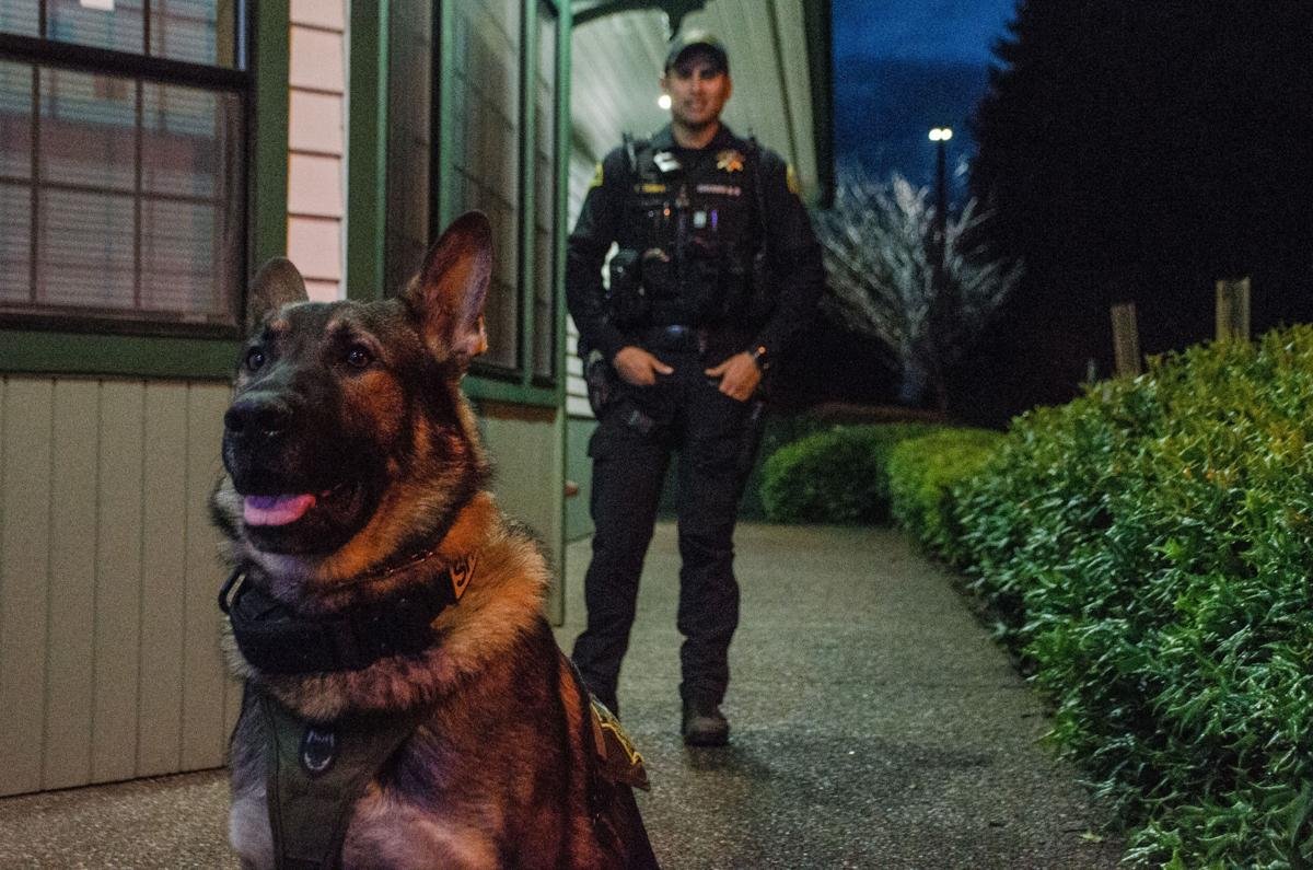 OnPatrolK9's tweet photo. Arlo's page on Tiktok
https://t.co/4F6L77D4FX @ThurstonSheriff
#BackTheBlue #ThinBlueLine #dog #K9 #police #military #WaronDrugs #LiveP https://t.co/5nqmZHkNvQ