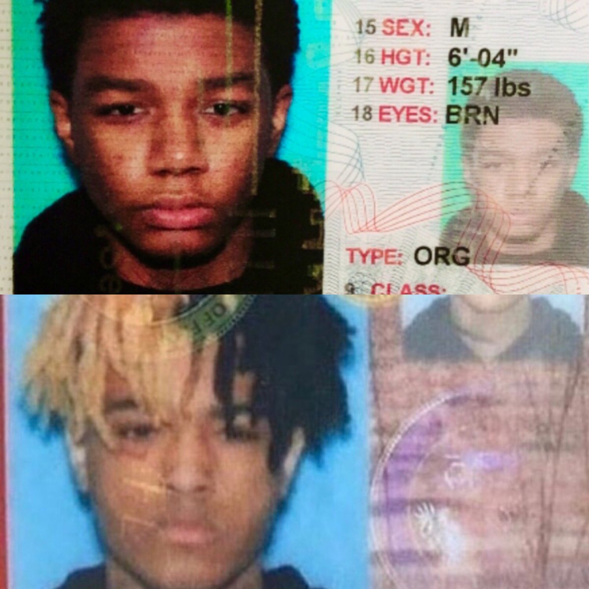 ☆SECTION☆ tweet media